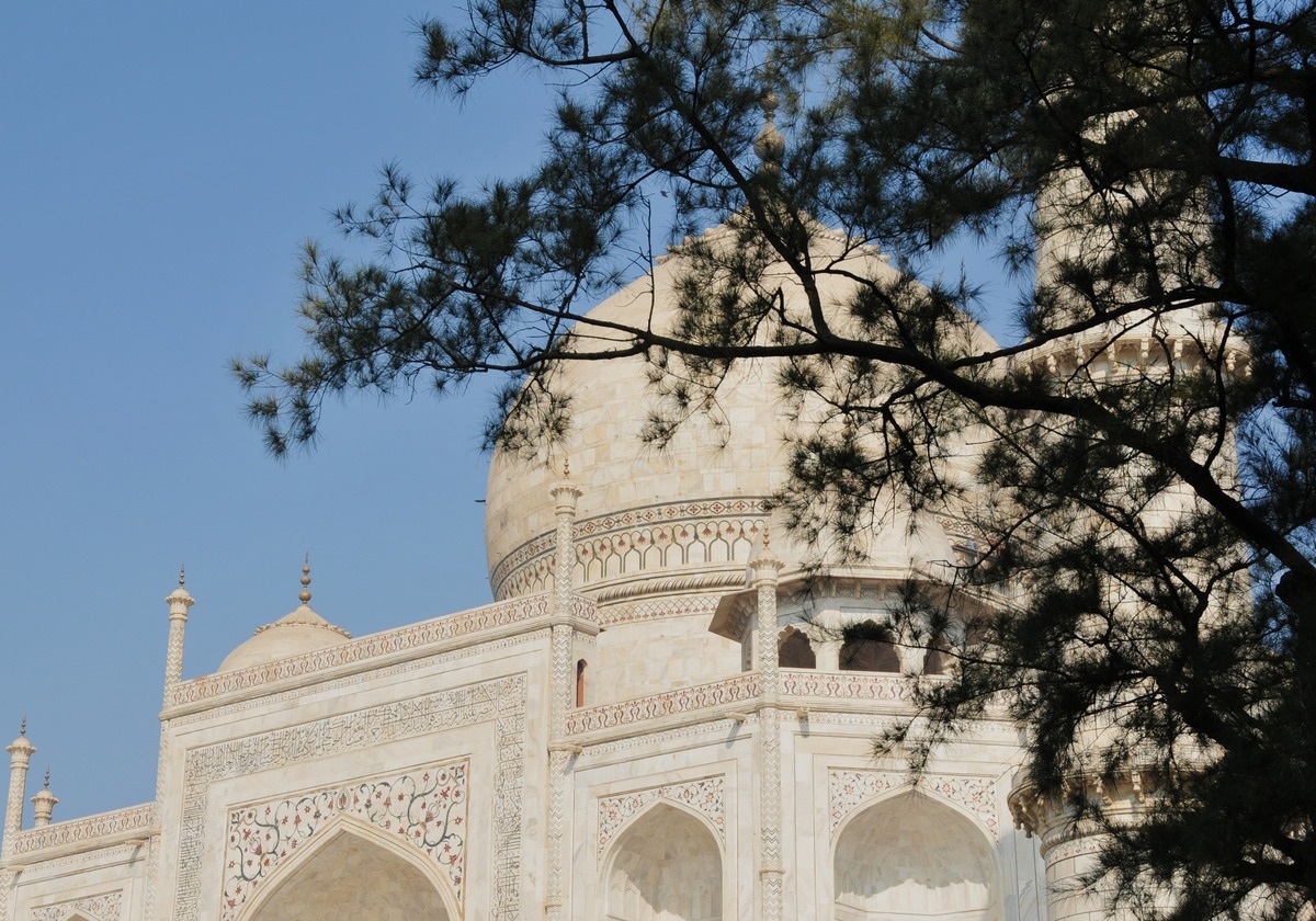 the taj mahal in agra, one of the wonders of the modern world: a view of the dome 