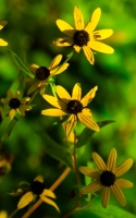 bright yellow flowers broken in the wind set against the green with broken petals