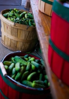 cucumbers in baskets at the market: red and wood baskets filled with cucumbers at the farmers market