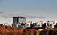 skyline of malmo city against the blue sky and red trees